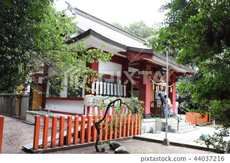 Susaki Shrine(Haiden) Susaki Shrine(Haiden) 44037216