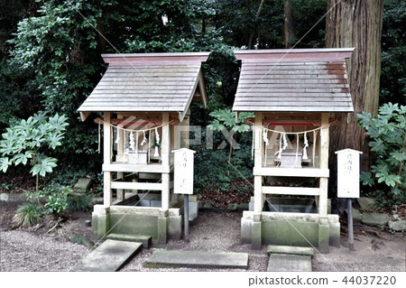 巢鴨神社(Setsusu-sha) 巢鴨神社(Setsusu-sha) 44037220