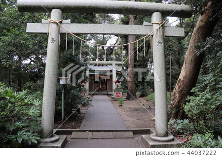 巢鴨神社(Setsusha /稻荷神社) 巢鴨神社(Setsusha /稻荷神社) 44037222