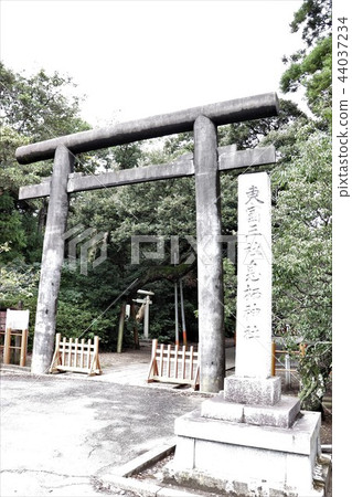 Susaki神社的鳥居 Susaki神社的鳥居 44037234