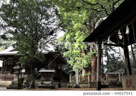 Kanzaki Shrine (Haiden and Nanja Monja Tree) Kanzaki Shrine (Haiden and Nanja Monja Tree) 44037541