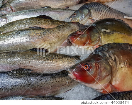 Freshly caught fish Freshly caught fish 44038474