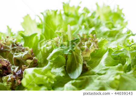 Leaf lettuce mix 44039143