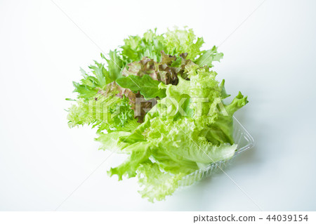 葉生菜混合 44039154