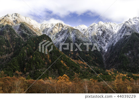 Landscape of snow and autumn leaves 44039229