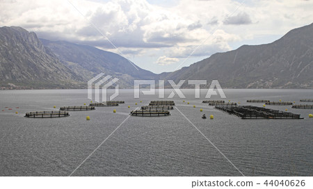 Aquaculture Aquaculture 44040626