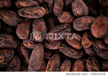Pattern of the cocoa beans background. 44041028