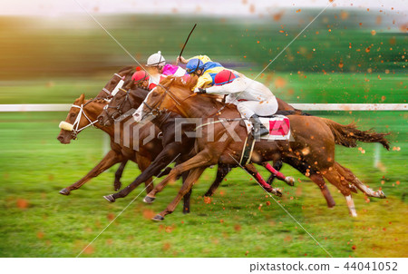 Race horses with jockeys on the home straight 44041052