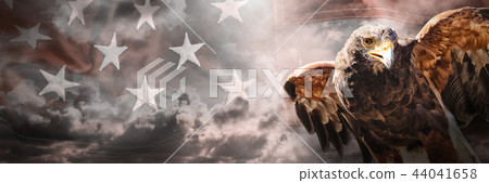 Composite image of eagle with spread wings 44041658