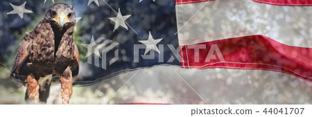 Full frame of wrinkled American flag 44041707