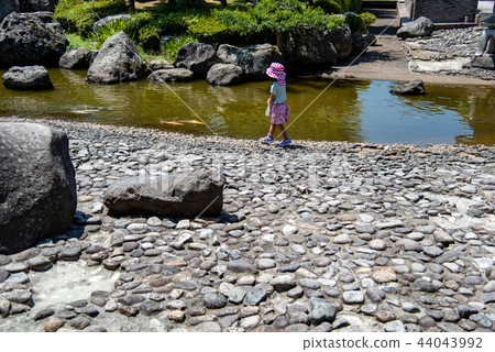 演奏哺養在一個池塘的女孩在福井縣Maruoka城堡日本庭院裡 44043992