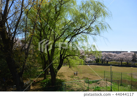Spring of Higashi Kurume-shi Hakusan Park 44044117