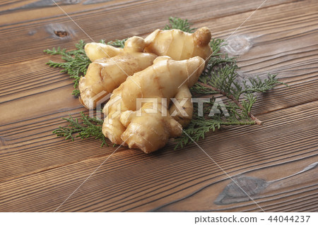 Ginger 44044237