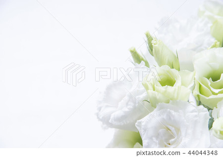 Turquoise bouquet 44044348