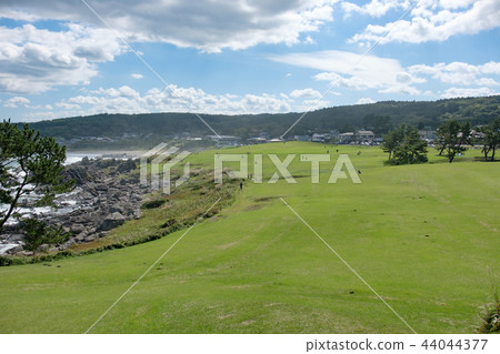 物種海岸 44044377