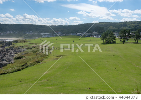 物種海岸 44044378