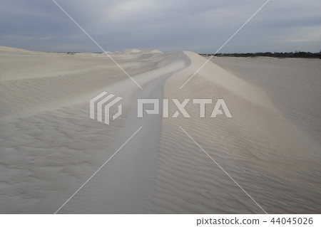 Landscape of Lancelin Dune (Western Australia) Landscape of Lancelin Dune (Western Australia) 44045026