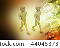 Two friends walk together 44045373
