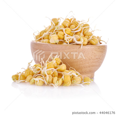 Pea sprouts isolated on white background. Pea sprouts isolated on white background. 44046176