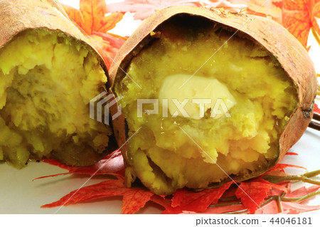  Sweet potato 44046181