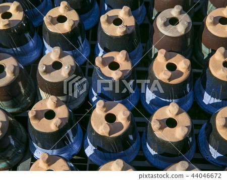 Fleshy plant jar Fleshy plant jar 44046672