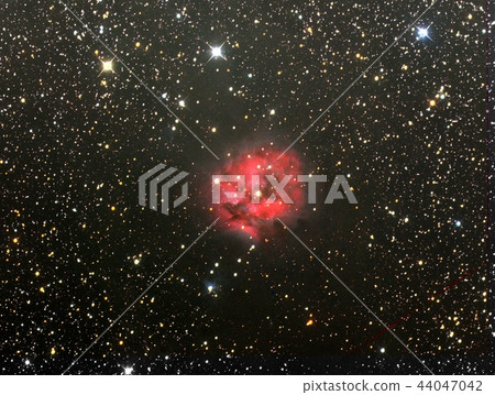 Mayu Nebula 44047042