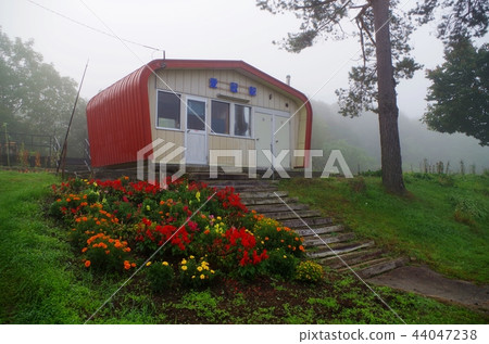 愛在霧中的皇冠站 44047238