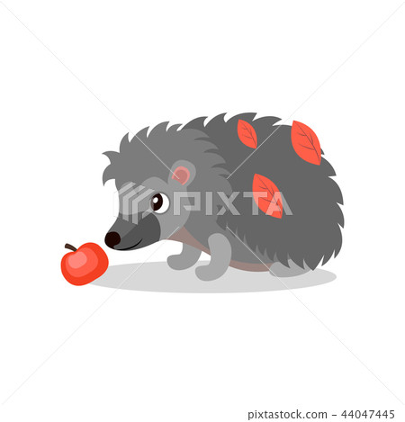 Hedgehog with red apple, cute animal cartoon character vector Illustration on a white background 44047445