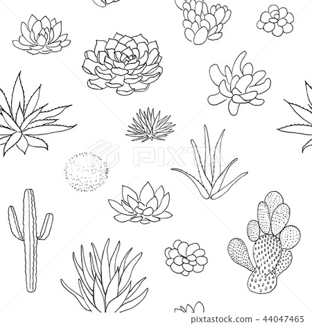 Succulent seamless pattern, sketch chalk style 44047465