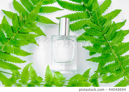 Perfume Bottle Natural Perfume Perfume Bottle Natural Perfume 44048694