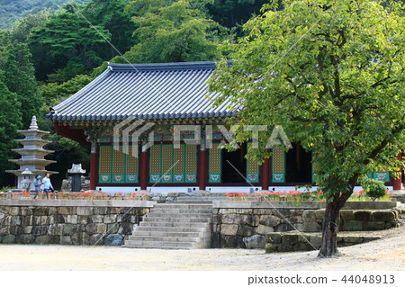 Flower pot, autumn, flower, mountain 44048913