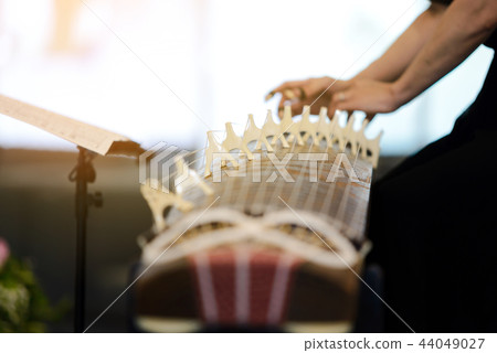 Koto - traditional musical instrument of Japan Koto - traditional musical instrument of Japan 44049027