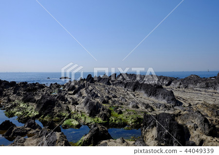 Coastal landscape · Arasaki Coastal landscape · Arasaki 44049339