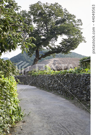 Alley, Oeam Folk Village, Asan City, Chungcheongnam-do Alley, Oeam Folk Village, Asan City, Chungcheongnam-do 44049563