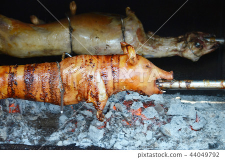 grilled pig. roasted pig grilled pig. roasted pig 44049792