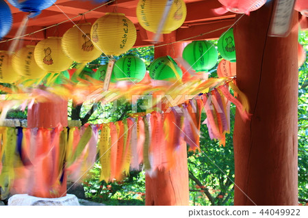花盆，花卉，秋，石山， 44049922