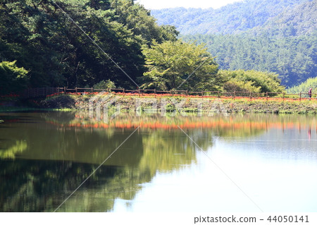 Flower pot, Flower, Autumn, Mountain, Wildflower, Yongcheon 44050141