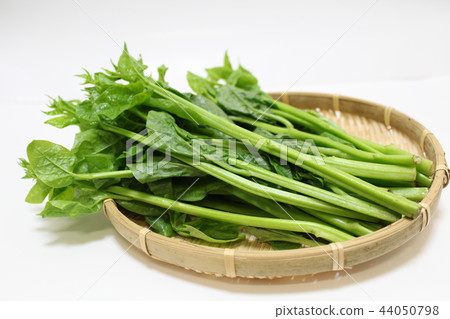 Vegetable Tsurumurasaki 44050798