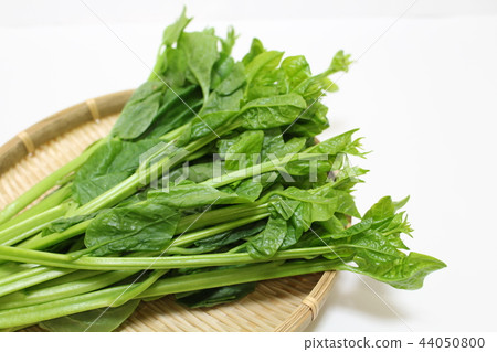 Vegetable Tsurumurasaki 44050800