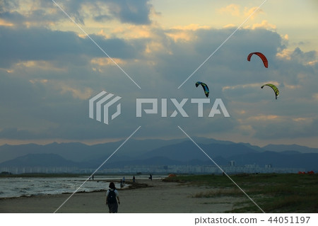 海灘，陽光，剪影，婦女，風箏衝浪，休閒，daidhapo 44051197