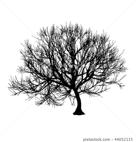 Black dry tree winter or autumn silhouette on white background.  illustration 44052115