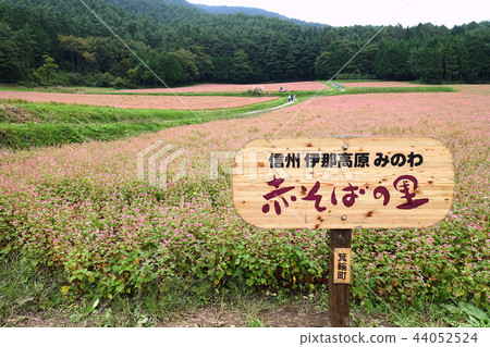 Shinshu Ina Highland Akasoba no Sato Kamiina-gun Minowa-cho Shinshu Ina Highland Akasoba no Sato Kamiina-gun Minowa-cho 44052524