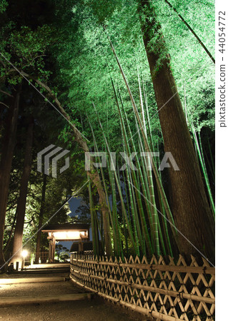 Bamboo illumination Bamboo illumination 44054772