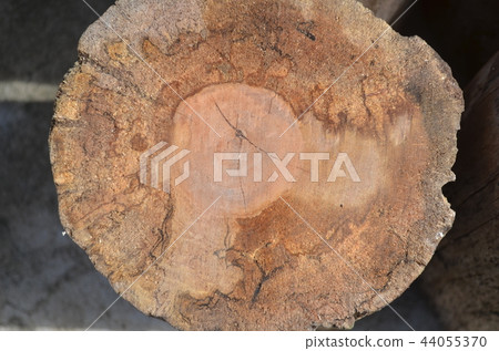 The pattern is on a log. 44055370