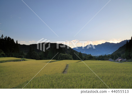 秋天Aoni解決Tanada風景 44055513