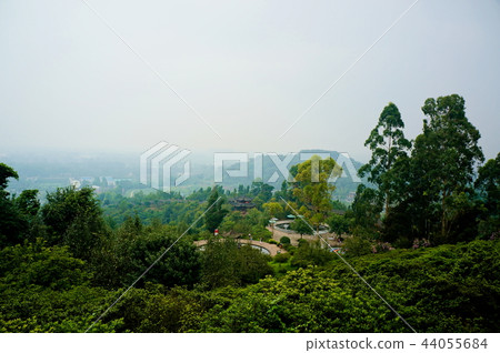 Flower dance person 44055684