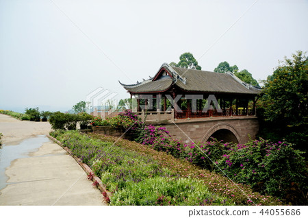 Flower dance person 44055686