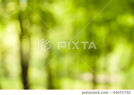 Blurry nature wallpaper. 44055792