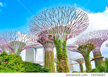 濱海灣花園 濱海灣花園 44056887