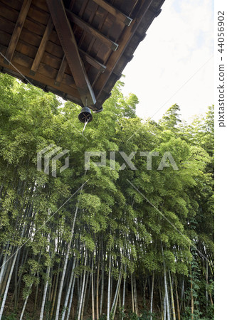 Dongkuk, Gunsan, Jeonbuk Dongkuk, Gunsan, Jeonbuk 44056902